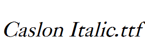 Caslon Italic.ttf